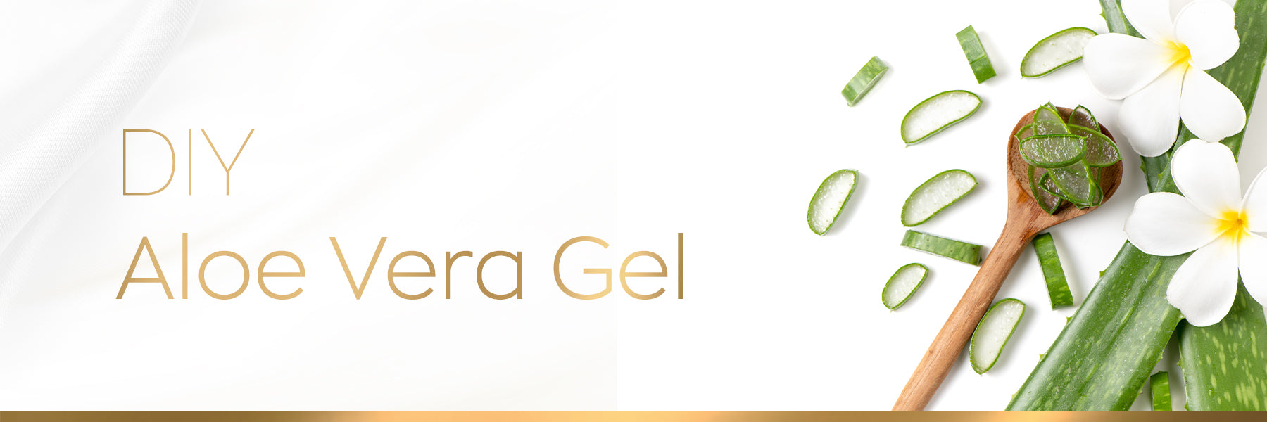 So vielseitig lsst sich Aloe Vera einsetzen und kombinieren