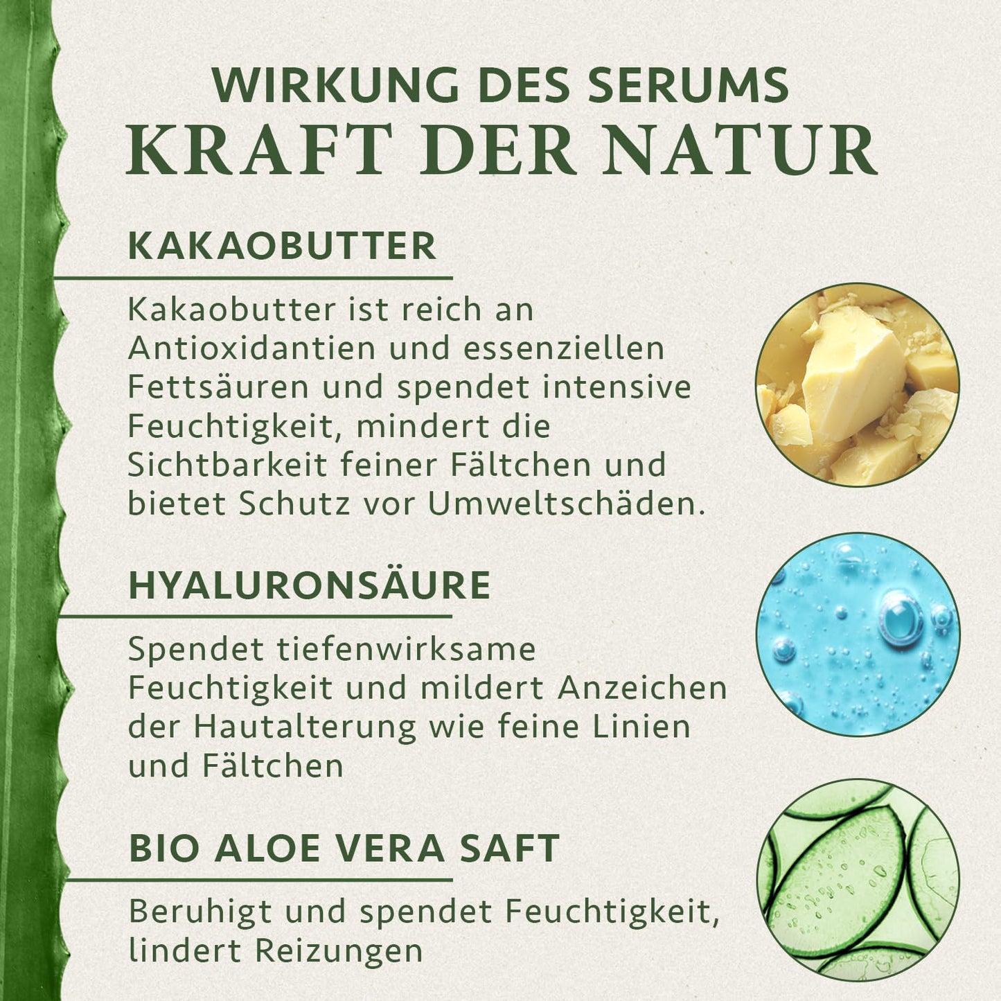 Bio Augencreme Mit Bio Aloe Vera, Hyaluron & Arganöl