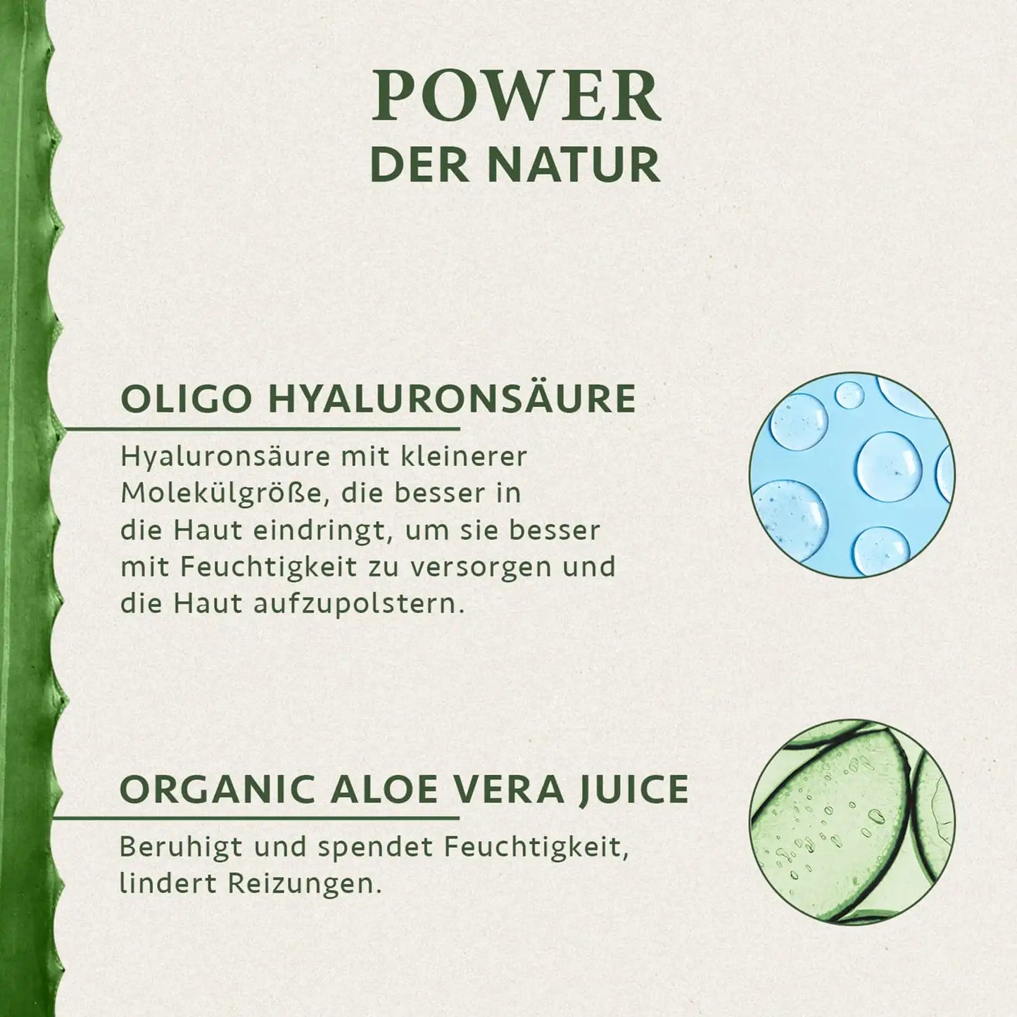 Bio Oligo-Hyaluronsäure Serum