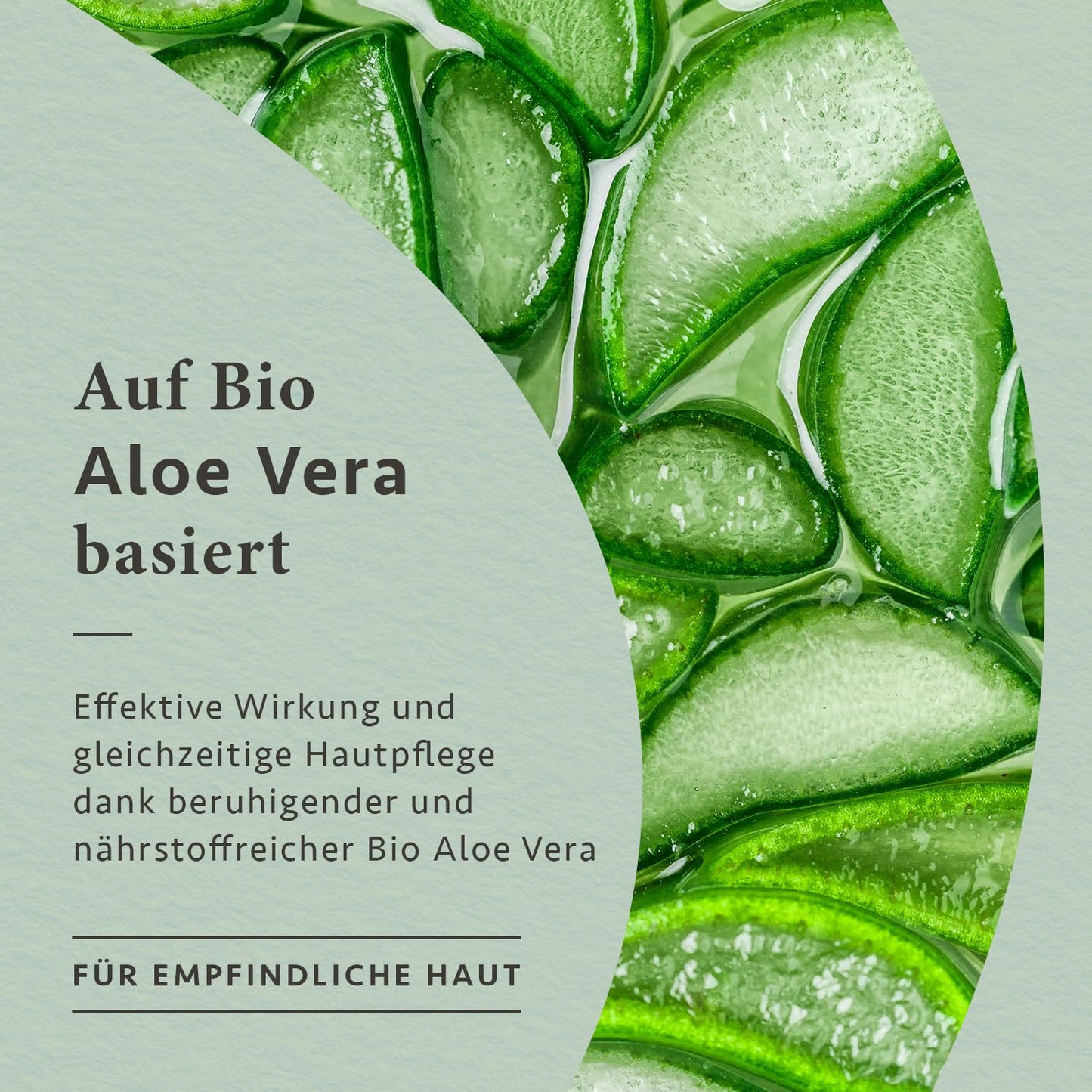 Bio Nachtcreme mit Ceramiden