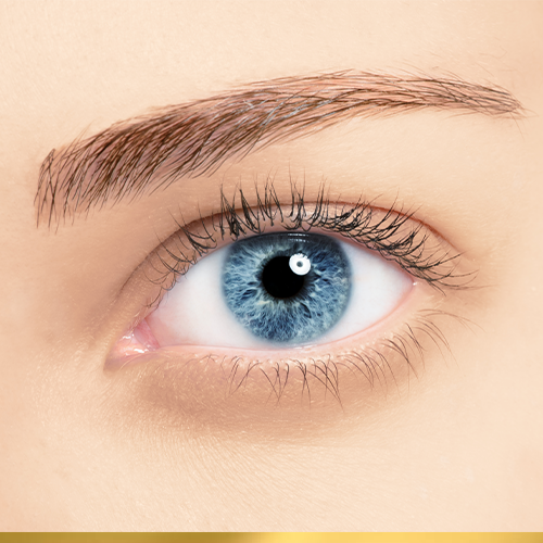 Wimpern