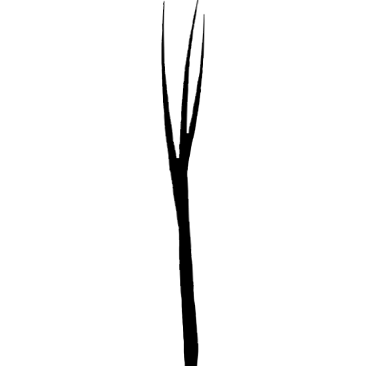 Die Gabel