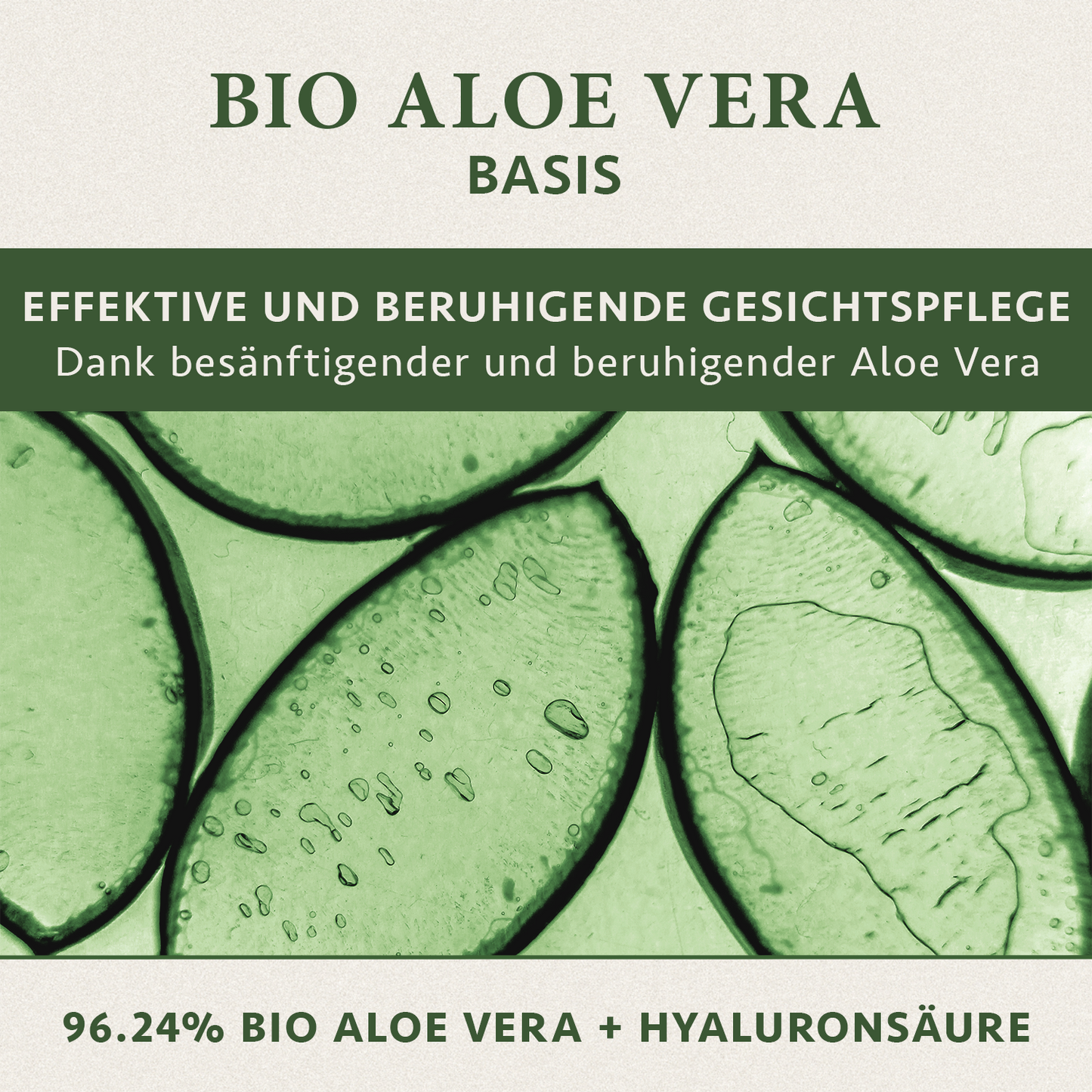 Aloe Vera Bio Gel